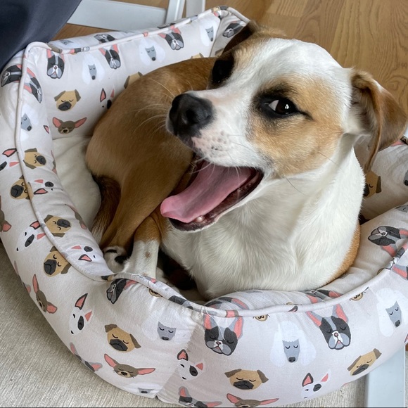 Meet your Posher, Amanda - Picture 1 of 1